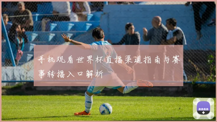 手机观看世界杯直播渠道指南与赛事转播入口解析
