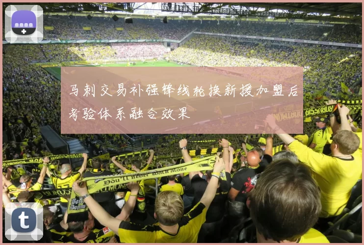 马刺交易补强锋线轮换新援加盟后考验体系融合效果